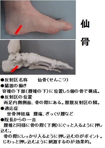 痔の改善に役立つ反射区 足つぼ