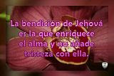 La bendición de Jehová