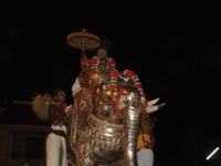 Srirangam Renganathar yanai vaganam