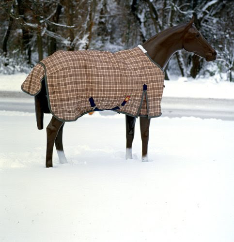 Baker Turn-Out Blanket