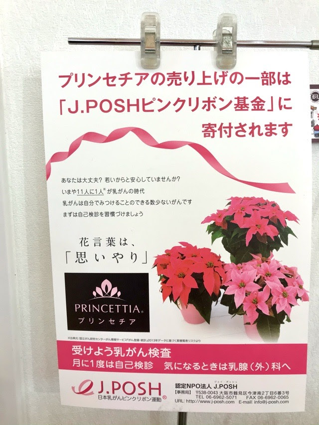 プリンセチア 花言葉は 思いやり ａコープ中標津店 あるる