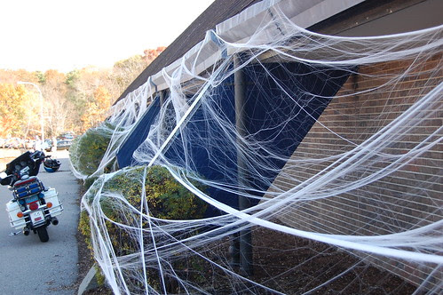 Franklin: my what big spiders there are!