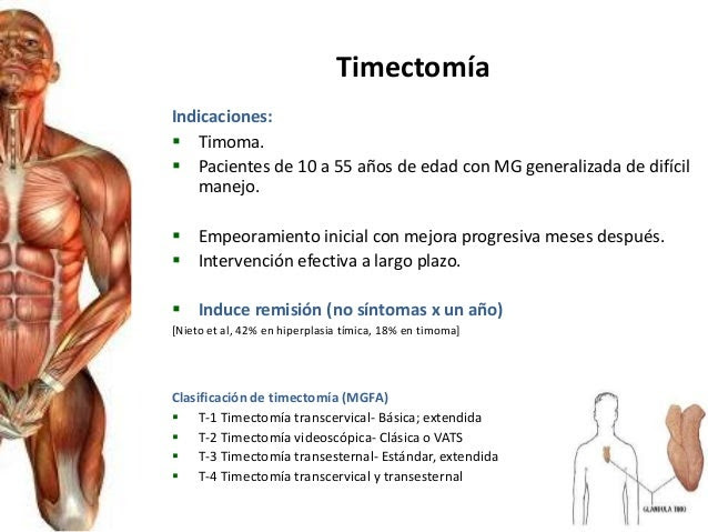 Canine Myasthenia Gravis - A Neuromuscular Disease in Dogs