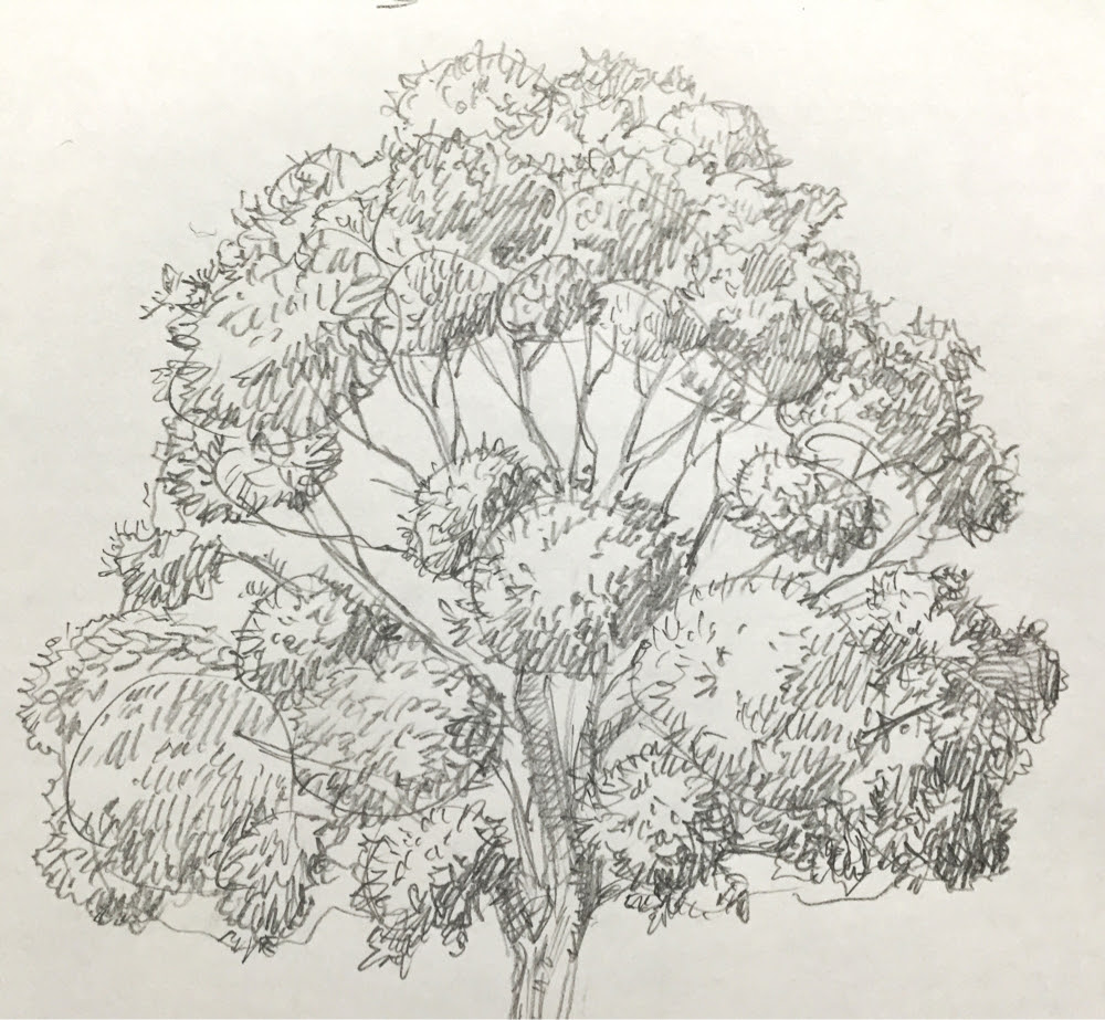 木イラストの描き方】絵の初心者ほど一気に上達する【木の書き方練習法】教えます！【イラスト講座】 | 画力ゼロからはじめるイラスト漫画生活