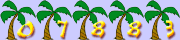 Website Counters