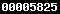blogger hit counter