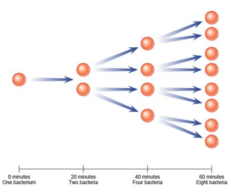 quadrillionbtus exponential growth