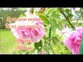 √70 ou plus joyeux anniversaire activité manuelle anniversaire maman 258086