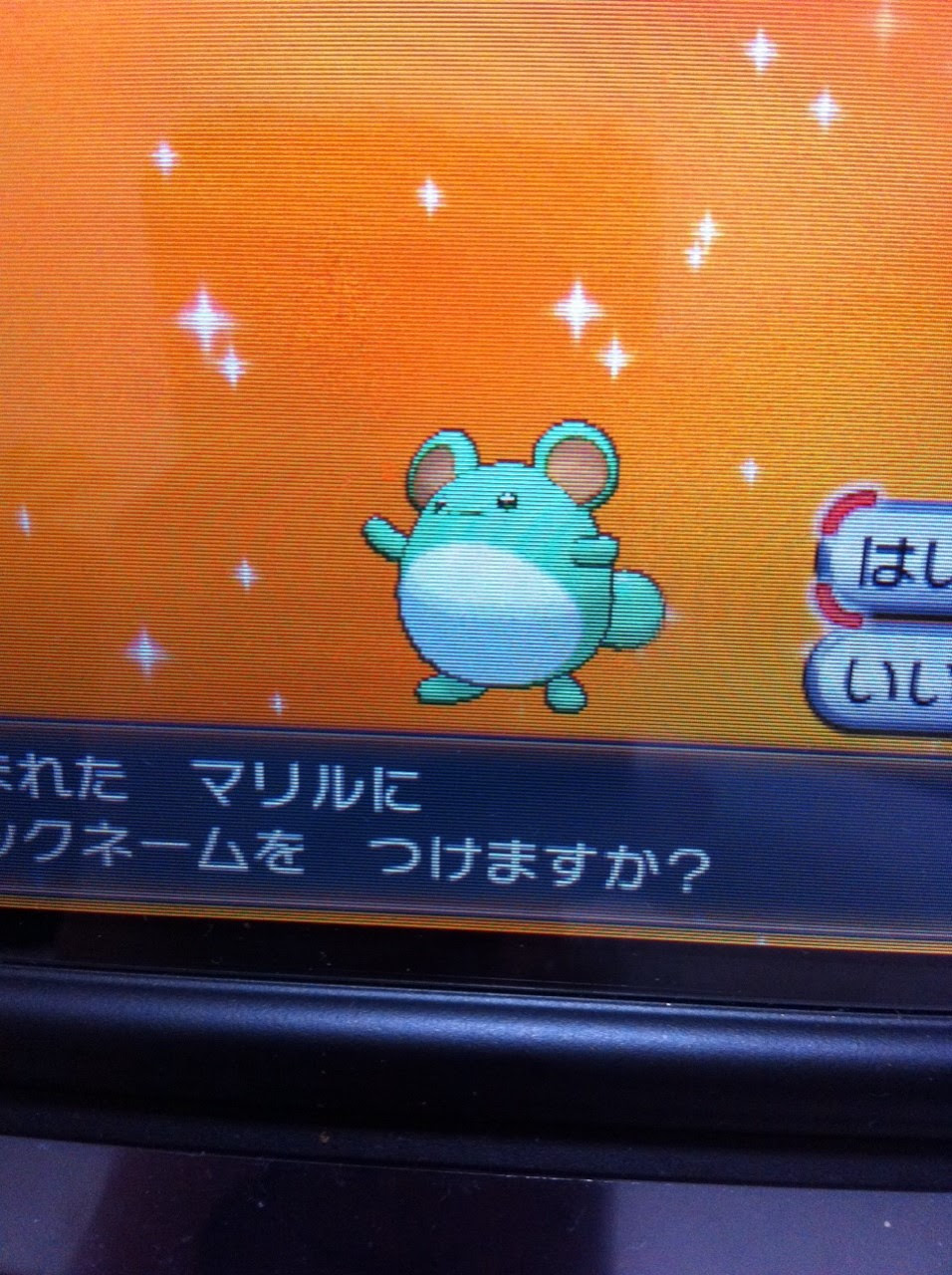 色違いに釘付け マリルリ Xy