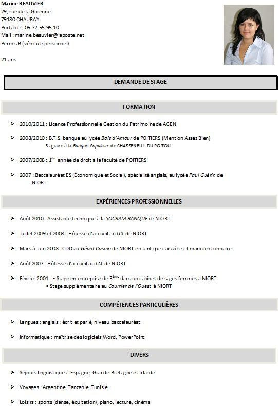 Exemple cv licence pro