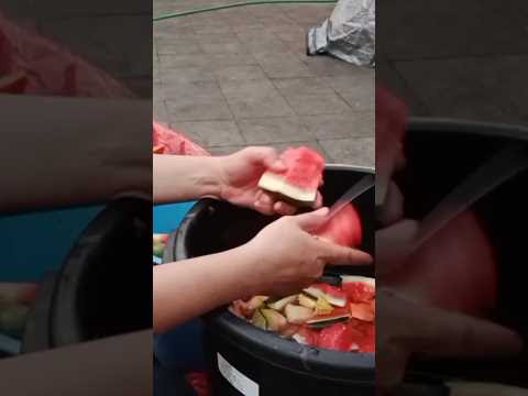 चित्र
