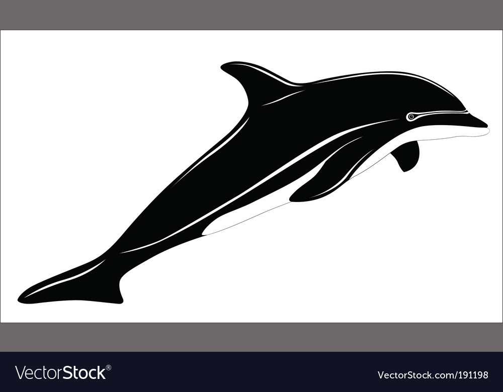 Dolphin Tattoo Vector. Artist: flanker-d; File type: Vector EPS 