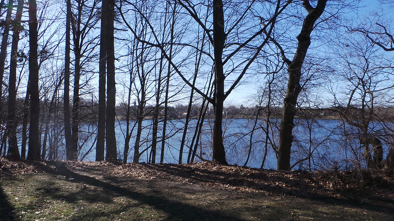 Jamaica Pond