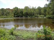 Lonnie Ratliff Short Stories - SANDY (The Wild Dog) - YouTube Lonnie Ratliff