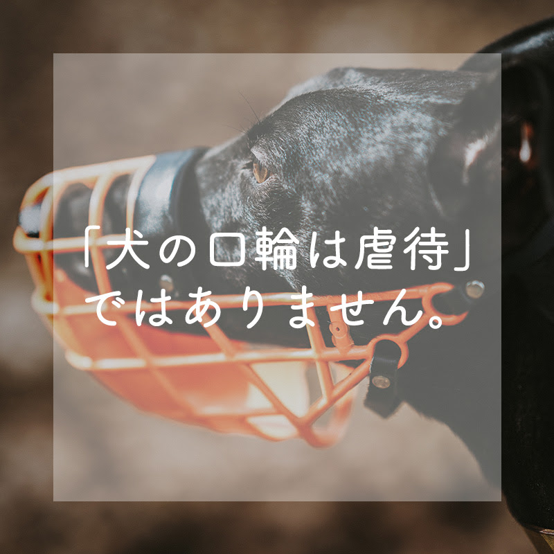 犬の口輪は虐待ではありません 人も犬も守る口輪の用途とメリット