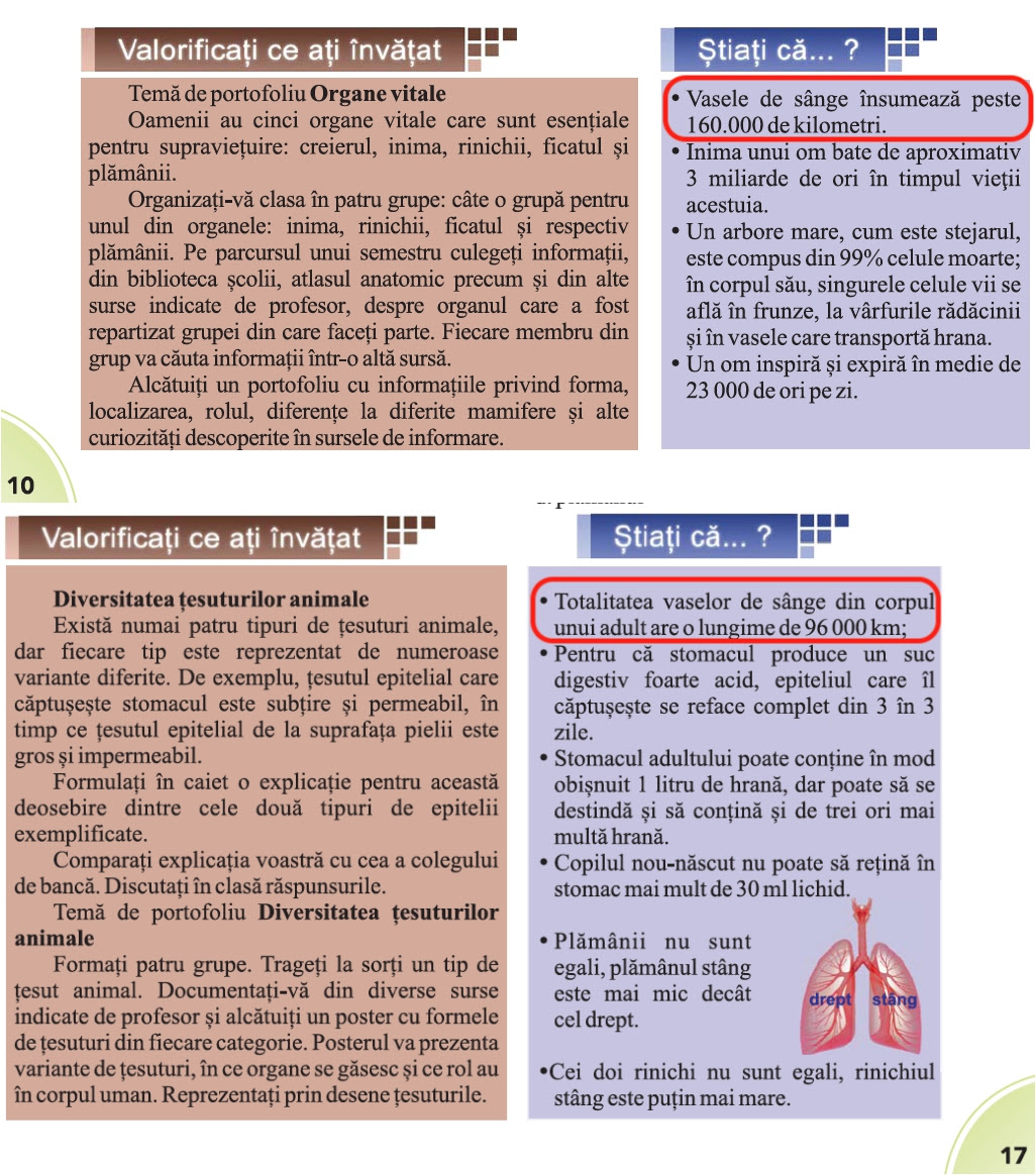 Foto Catastrofa Din Manual Biologia De Clasa A Vi A Inima și