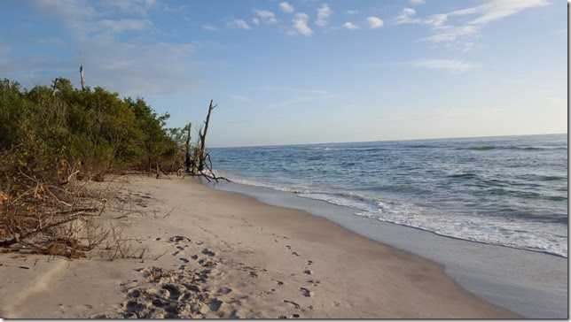 the beach to ourselves 2016 (800x450)