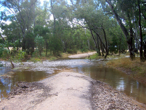 Lillicur rd flood - 1