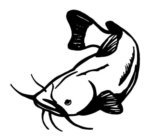 Download Catfish Silhouette at GetDrawings | Free download