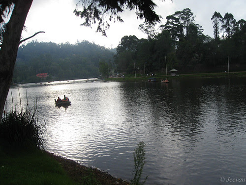 Kodai lake - quiet pleasant