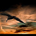 Musique De Country Free Download Mp3