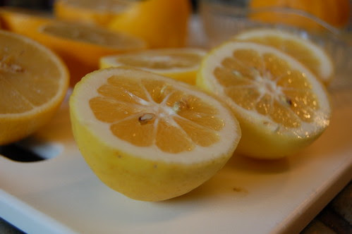 Meyer Lemons and Bergamot Oranges