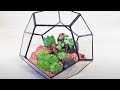 テラリウム 多肉植物 524000-テラリウム 多肉植物 蓋