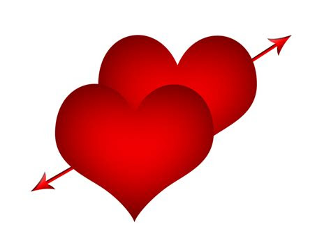 dil png    vector image png psd files