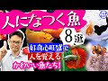 な つく 魚 174399