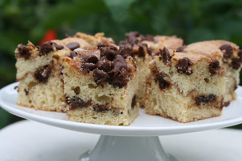 Food Librarian - Cinnamon Chocolate Chip Sour Cream Coffee Cake