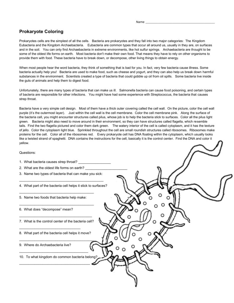 Prokaryote Coloring Worksheet - Bluegreenish