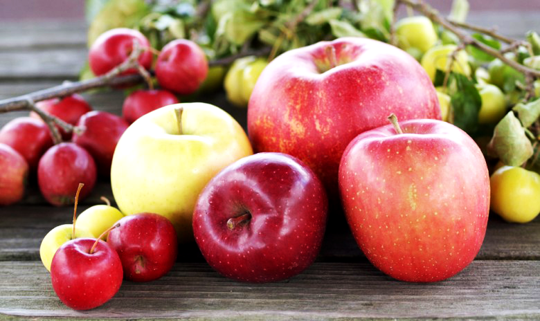 Aomori Apple 青森りんご りんごの惑星 Planet Of The Apples