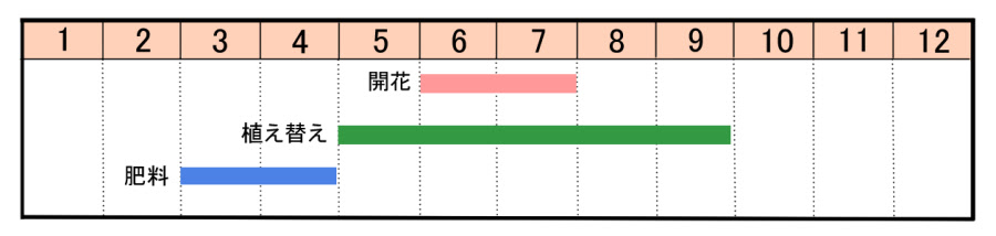 ソテツの育て方 ヤサシイエンゲイ