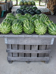 Biggs Farm 1