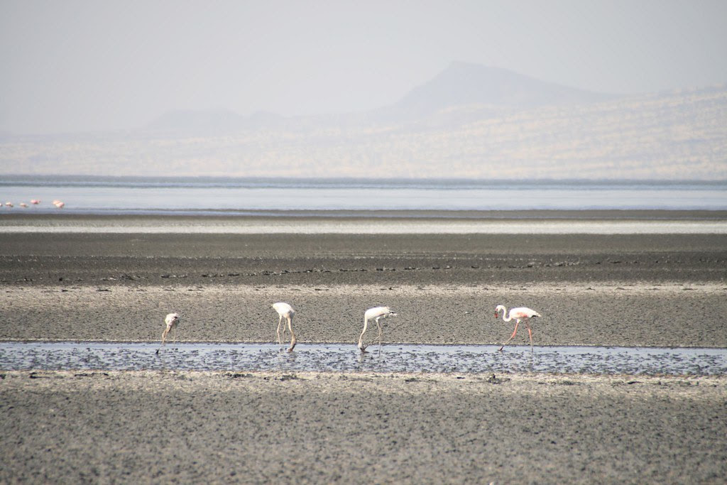 Lake Natron
