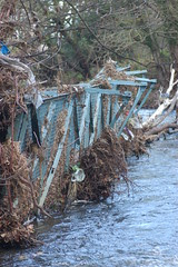 Butterfly Bridge Nov 09 no 11