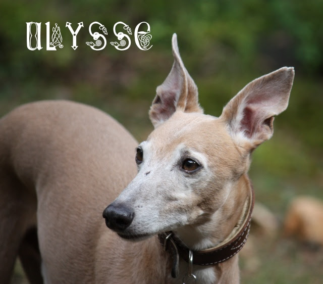 Ulysse, le fils de Loti