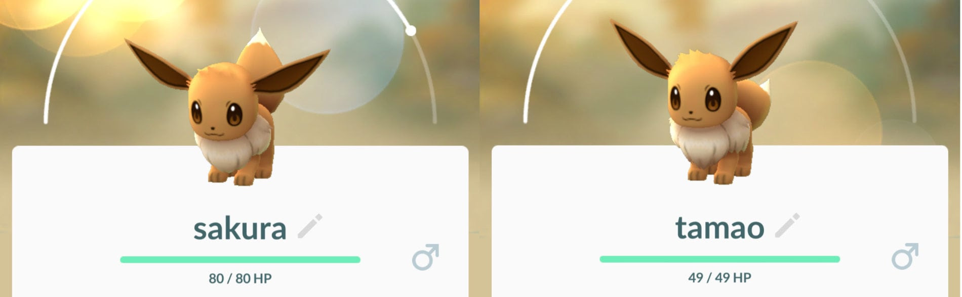 ポケモンgo イーブイから ブラッキー と エーフィ に進化させる裏技 Ipod Love