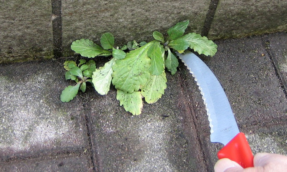 雑草取り道具の決定版 狭い隙間に生えた草を効果的に刈る 雑草刈250 雑草対策のイロハ