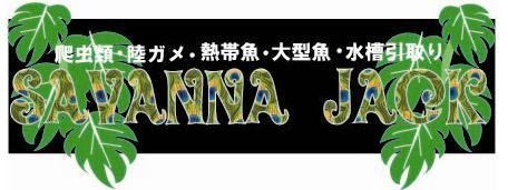 ホームぺージ以外にも器材の最新情報や生体のご紹介をこちらのブログで更新していきます 川崎 熱帯魚屋 川崎 熱帯魚 中古水槽 Po エンドリケリー 残り7本 川崎 ラゾーナ すぐそばにある 川崎 熱帯魚 中古水槽 中古器具 激安 Sabannna Jpg 川崎 熱帯魚