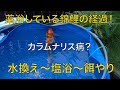 画像 カラムナリス 病 308915-カラムナリス病