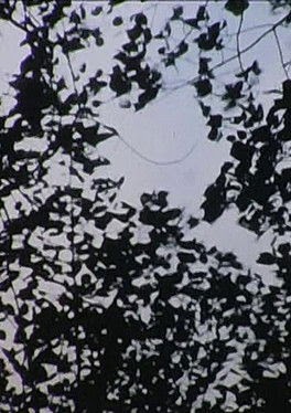 Ver filme Blueray Caterpillar 1973 Legendado Online Filme Completo