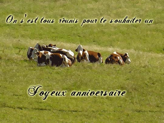 Meganecc Net Consulter Le Sujet Joyeux Anniversaire Christophe F5sxd