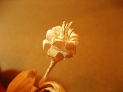 Origamyst Straw Wrapper Flowers Project