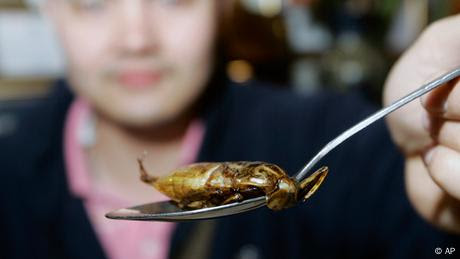 Insekten als Nahrung in Thailand