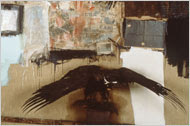 Rauschenberg: Art and Photos