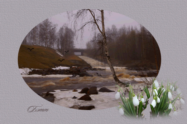 Природа красивый весенний пейзаж открытка
