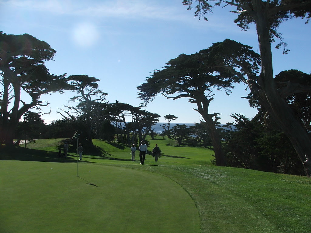 CP 18th from green backward