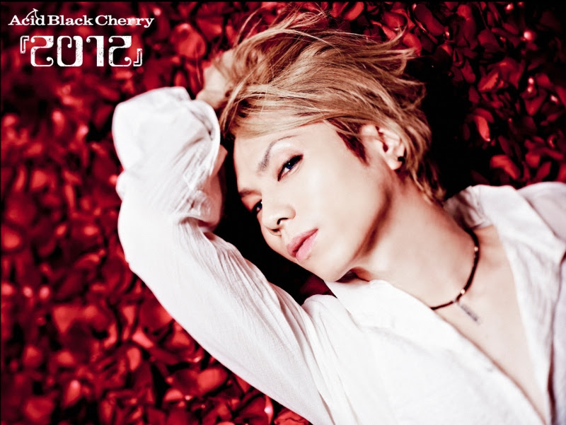 Yasu Acid Black Cherry Photo 3232 Fanpop