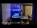 無料ダウンロード 海水 魚 ライト 178006-海水魚 ライト おすすめ